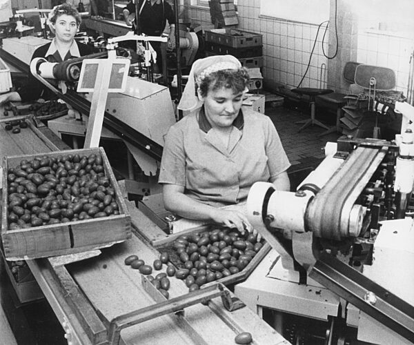 Sachsen, historisch, Wirtschaft, Volkswirtschaft, Betriebe, Unternehmen...