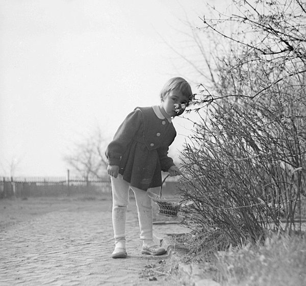 Ostereier suchen in Zschopau im Bundesland Sachsen auf dem Gebiet der ehemaligen DDR, Deutsche Demokratische Republik