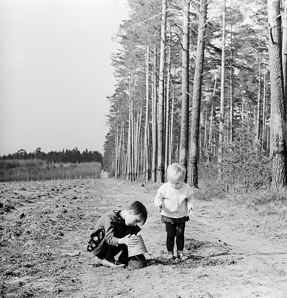 Zwei kleine Kinder buddeln am Waldrand im Sand in Wernigerode im Bundesland Sachsen-Anhalt auf dem Gebiet der ehemaligen DDR, Deutsche Demokratische Republik