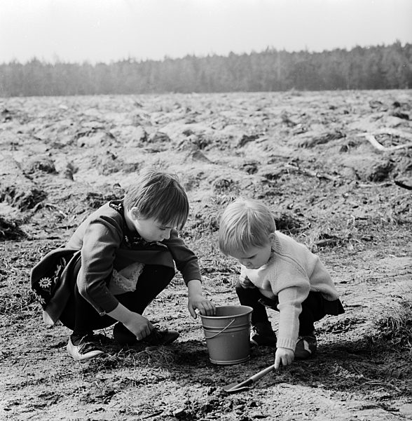 Zwei kleine Kinder buddeln im Sand in Wernigerode im Bundesland Sachsen-Anhalt auf dem Gebiet der ehemaligen DDR, Deutsche Demokratische Republik
