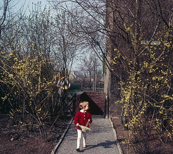 Ostereier suchen in Zschopau im Bundesland Sachsen auf dem Gebiet der ehemaligen DDR, Deutsche Demokratische Republik