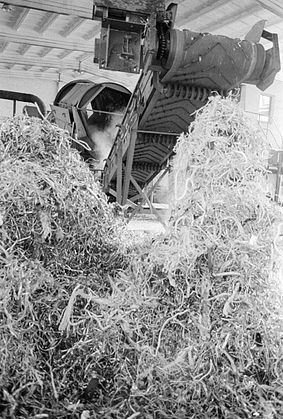 Wertstofftrennung im VEB Kombinat Sekundär-Rohstofferfassung (SERO) in Berlin, der ehemaligen Hauptstadt der DDR, Deutsche Demokratische Republik