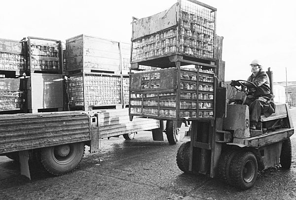 Wertstofftrennung im VEB Kombinat Sekundär-Rohstofferfassung (SERO) in Berlin, der ehemaligen Hauptstadt der DDR, Deutsche Demokratische Republik