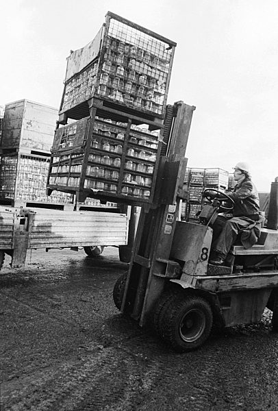 Wertstofftrennung im VEB Kombinat Sekundär-Rohstofferfassung (SERO) in Berlin, der ehemaligen Hauptstadt der DDR, Deutsche Demokratische Republik