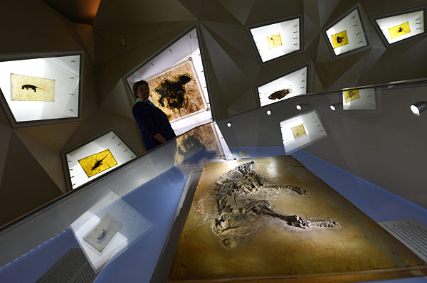 MOBI MO 1.6. - 25 Jahre Unesco-Welterbe Grube Messel