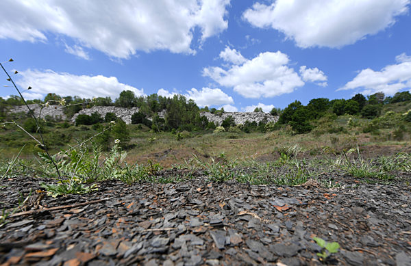 25 Jahre Unesco-Welterbe Grube Messel