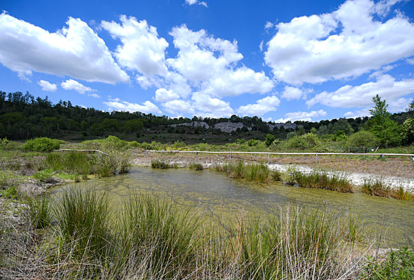 25 Jahre Unesco-Welterbe Grube Messel