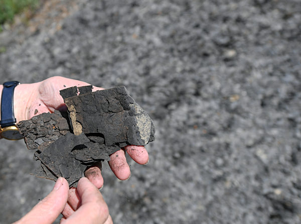 25 Jahre Unesco-Welterbe Grube Messel