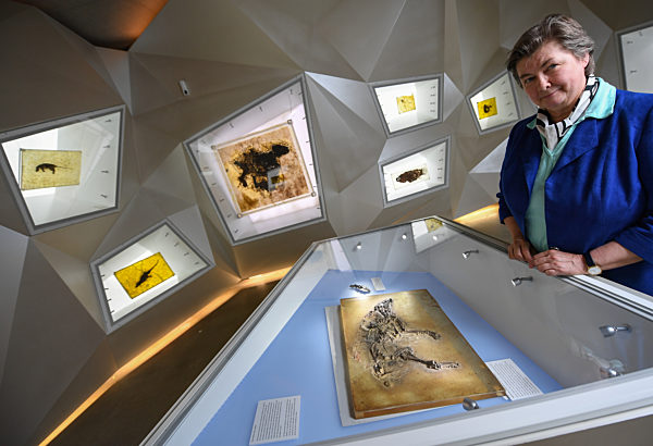 25 Jahre Unesco-Welterbe Grube Messel