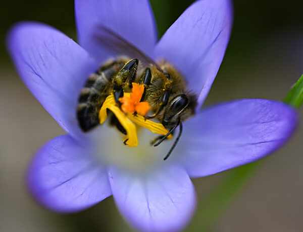 Frühlingswetter in Frankfurt am Main