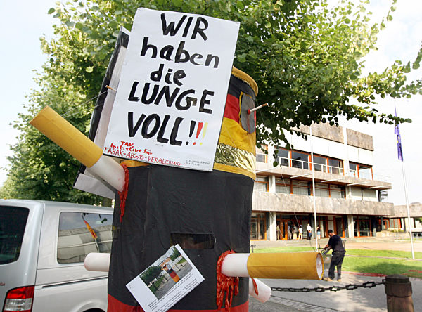 Ein Demonstrant protestiert am Mittwoch (30.07...