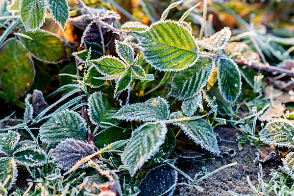 Winterwetter in Oldenburg