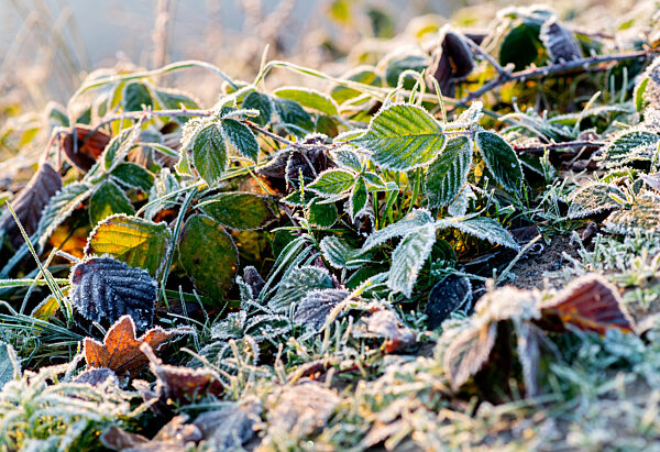 Winterwetter in Oldenburg