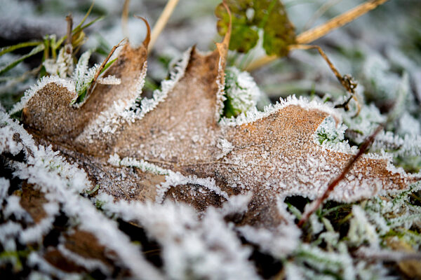 Wetter in Niedersachsen