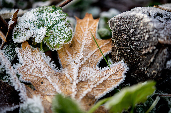 Wetter in Niedersachsen