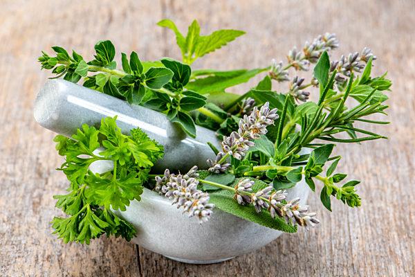 Naturmedizin mit gesunden Kräutern