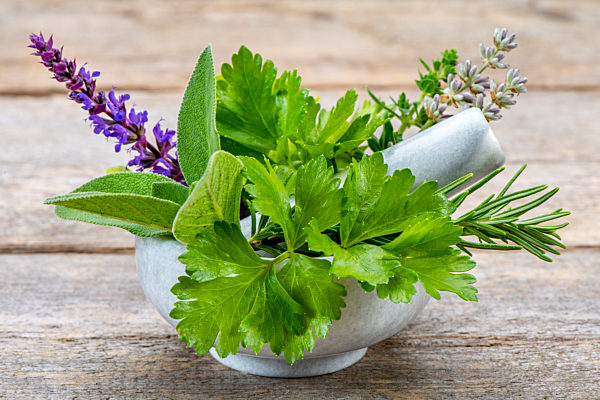 Naturmedizin mit gesunden Kräutern