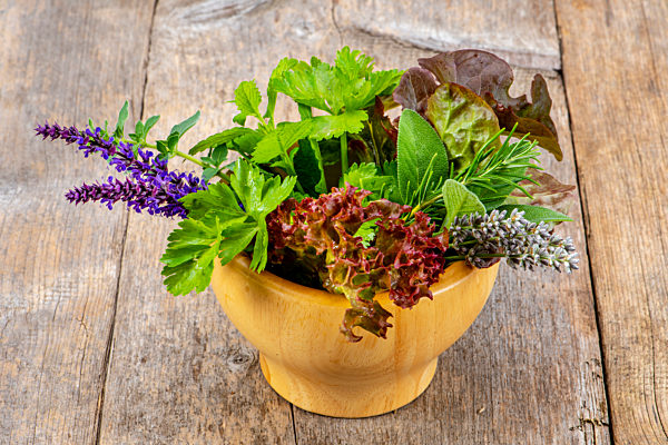 Naturmedizin mit gesunden Kräutern