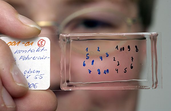 Biologische Untersuchung von Faserspuren  im Bayerischen Landeskriminalamt, 2003