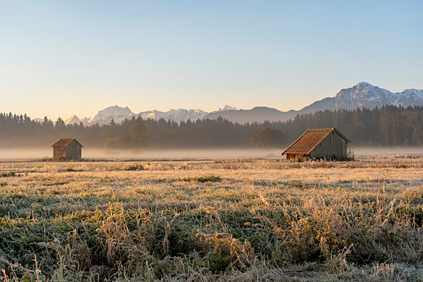 Sonnenaufgangsstimmung über dem Haarmoos - Rupertiwinkel
mit Watzmann, Lattengebirge und Hochstaufen im Hintergrund