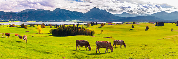 Panorama Landschaft im Allgäu am Forggensee, 2021
