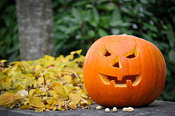 Halloween-Kürbis, 2021