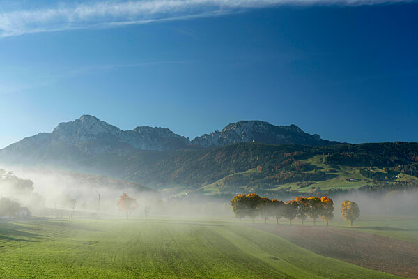 Blick von Steinhoegl in der Gemeinde Anger zum Hochstaufen und Zwiesel mit der herbstlich strahlenden Allee und Nebelstimmung