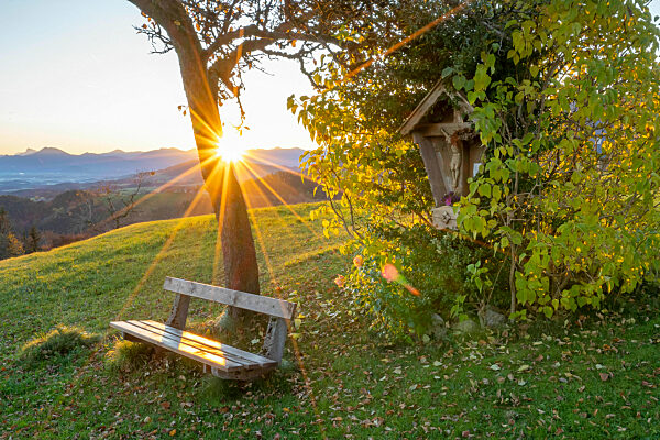 Das Wegkreuz bei Hochhorn - Neukirchen
im Sonnenaufgang