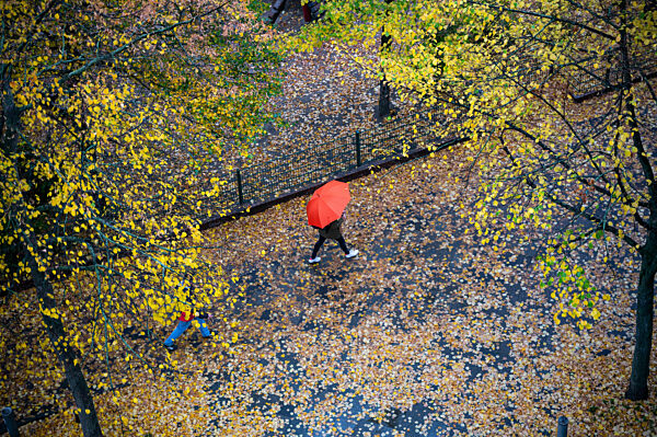 Berlin, Deutschland, Person mit Schirm geht ueber herabgefallene Blaetter, die an einem regnerischen Herbsttag auf dem nassen Gehweg liegen