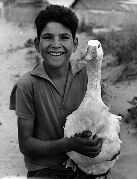 Junge mit Gans in Italien