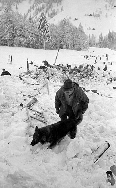 Blick auf ein völlig zerstörtes Gebäude bei Blons, 1954