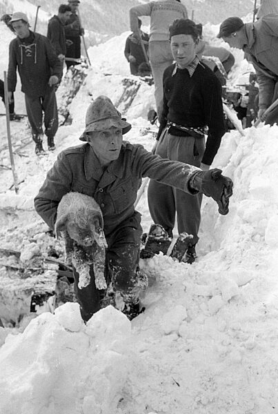 Nach dem Lawinenabgang graben sich Retter zu einem Stall durch, 1954
