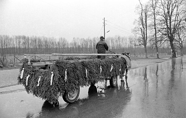 Autofreier Sonntag, 1973