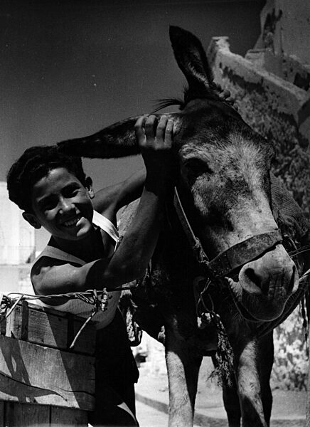 Junge mit Esel auf der Insel Ponza