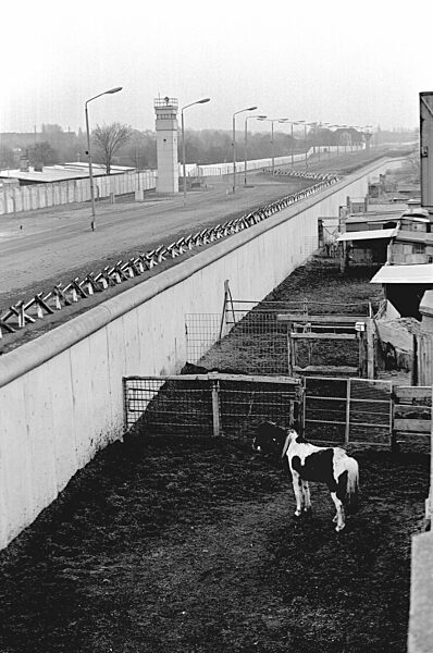 Stallungen an der Berliner Mauer