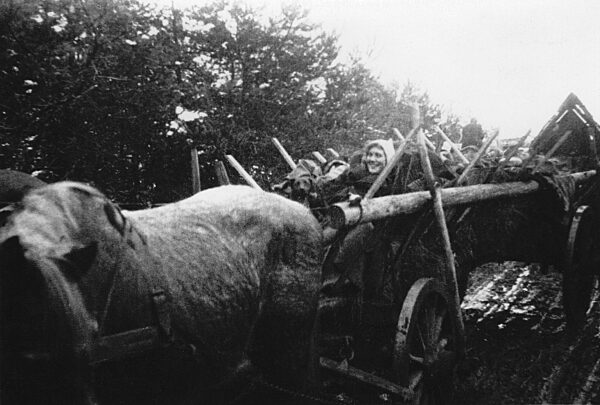 Flucht über das Frische Haff, 1945