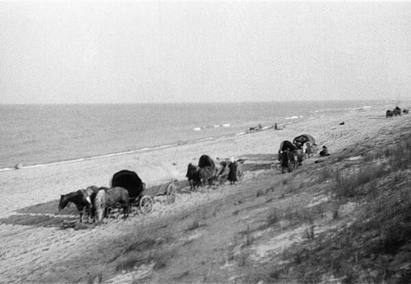Flucht über das Frische Haff, 1945