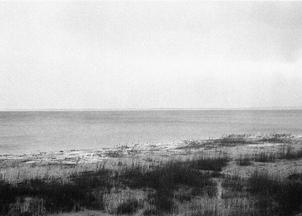 Flucht über das Frische Haff, 1945