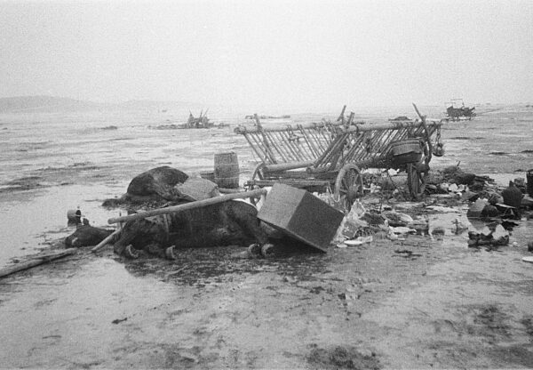 Flucht über das Frische Haff, 1945