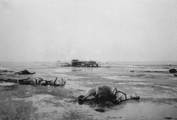 Flucht über das Frische Haff, 1945