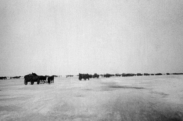 Flucht über das Frische Haff, 1945