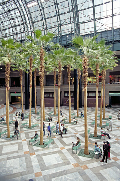Winter Garden in New York, 1992