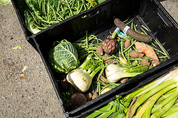 Lebensmittelausgabe durch Secours Populaire, Chartres 2020