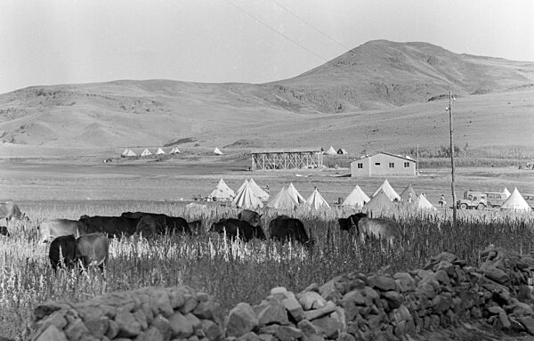 Schweres Erdbeben in der Türkei 1966