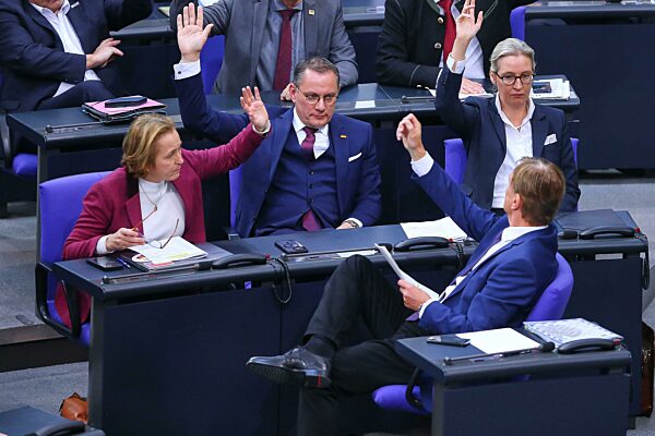 AfD-Bundestagsfraktion