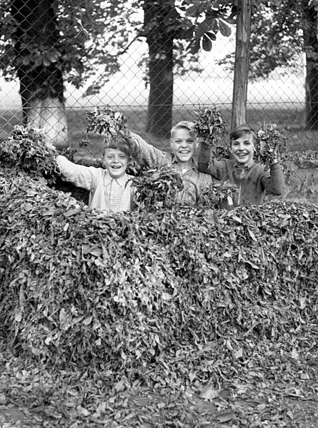 Kinder im Herbst 1957