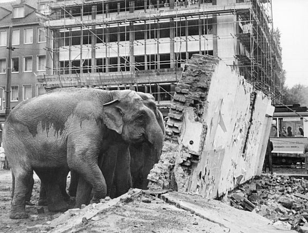 Mit elf "ES" gegen eine Hauswand