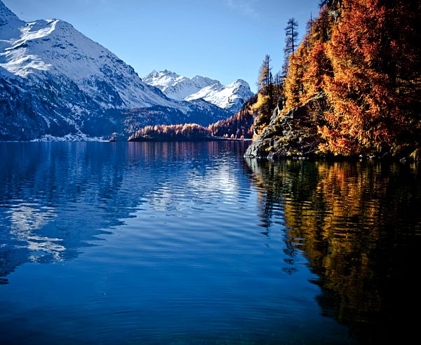 Switzerland, Europe, Engadin, Engadine, Graubünden, Grisons, autumn, mountains, Alps, alpine, lake, lake Sils, water, snow, larch, wood, forest, tree, blue sky, sun, sky, scenery, alpine scenery, reflection,