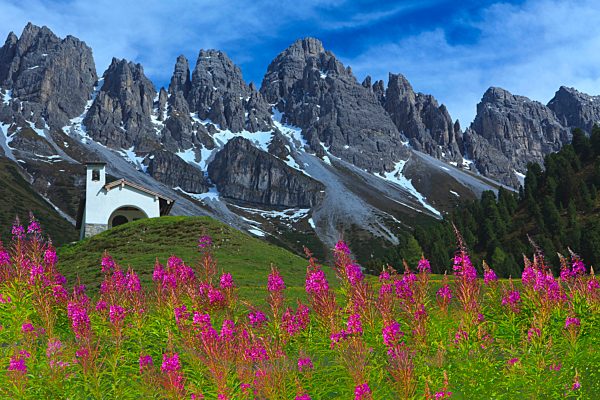 Austria, Europe, Tyrol, Grinzens, alp Kemat, Alp, chapel, meadow, flowers, fireweed, willowherb, mountains, snow, summer, Kalkkögel, sky, clouds, nature, traveling, rest, climbing mountains, rest, silence, calmness, religion, pilgrims, Alps, calendar pict