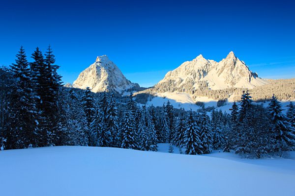 Alps, Alpine, panorama, view, mountain, mountains, massif, Brunni, trees, spruce, spruces, summits, peaks, big, Mythen, Central Switzerland, small, little, Mythen, cold, panorama, snow, Switzerland, Europe, Swiss Alps, Schwyz, pre-alps, sunrise, fir, firs,